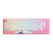 Akko 3068B Plus V2 (Tokyo Edition) Keyboard - InputGear DE