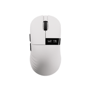 Chilkey Glacier LW 8K (White) Mouse - InputGear DE