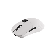 Chilkey Glacier LW 8K (White) Mouse - InputGear DE