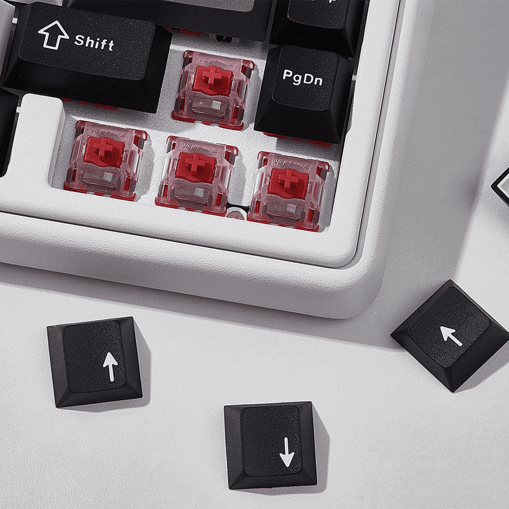 Chilkey ND65 CS HE - InputGear DE