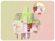 Interrupteur Gateron Harmonic Clicky