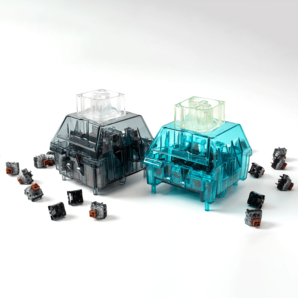 Kailh Switch Storage Box - InputGear DE