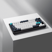 Keychron Q1 Max (ANSI) - InputGear DE