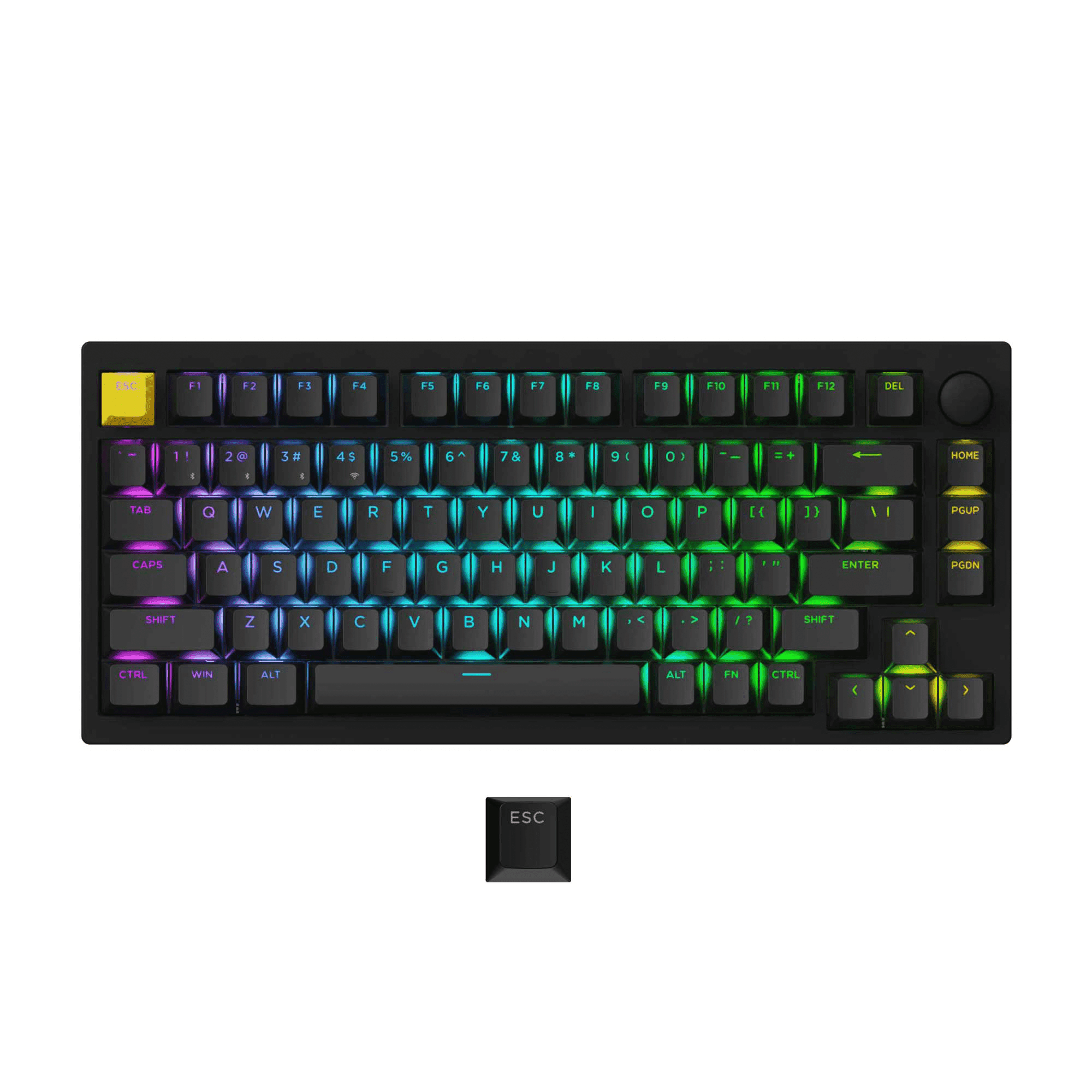 LemoKey P1 HE RGB (ANSI) - InputGear DE