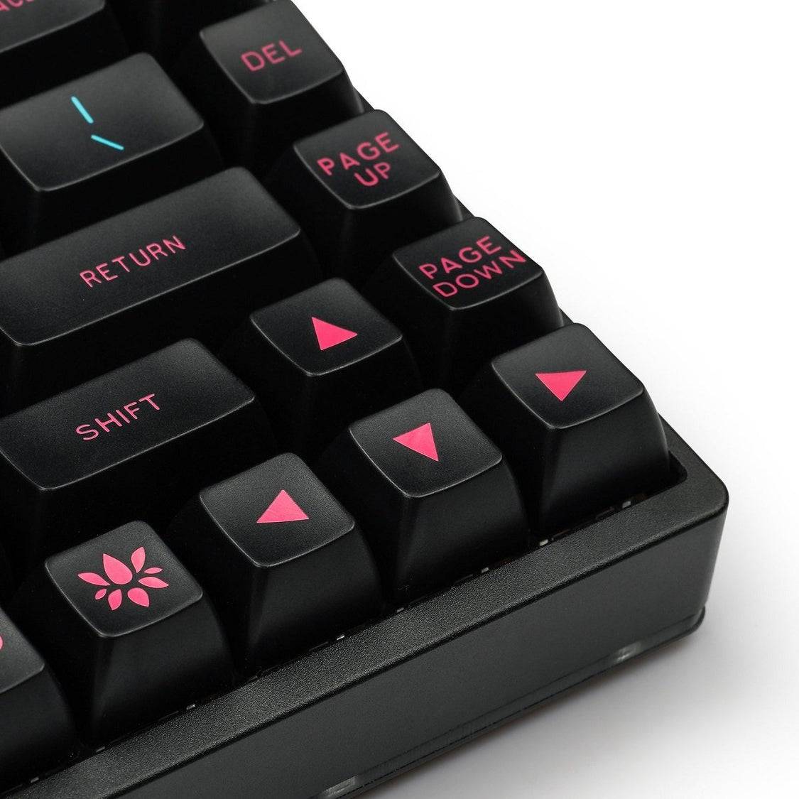 Ensemble de touches MAXKEY SA Miami Night (ANSI)