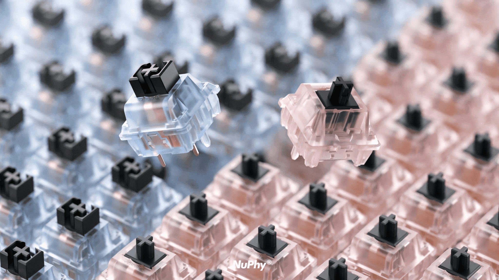 Nuphy Halo65 (Black) - InputGear DE