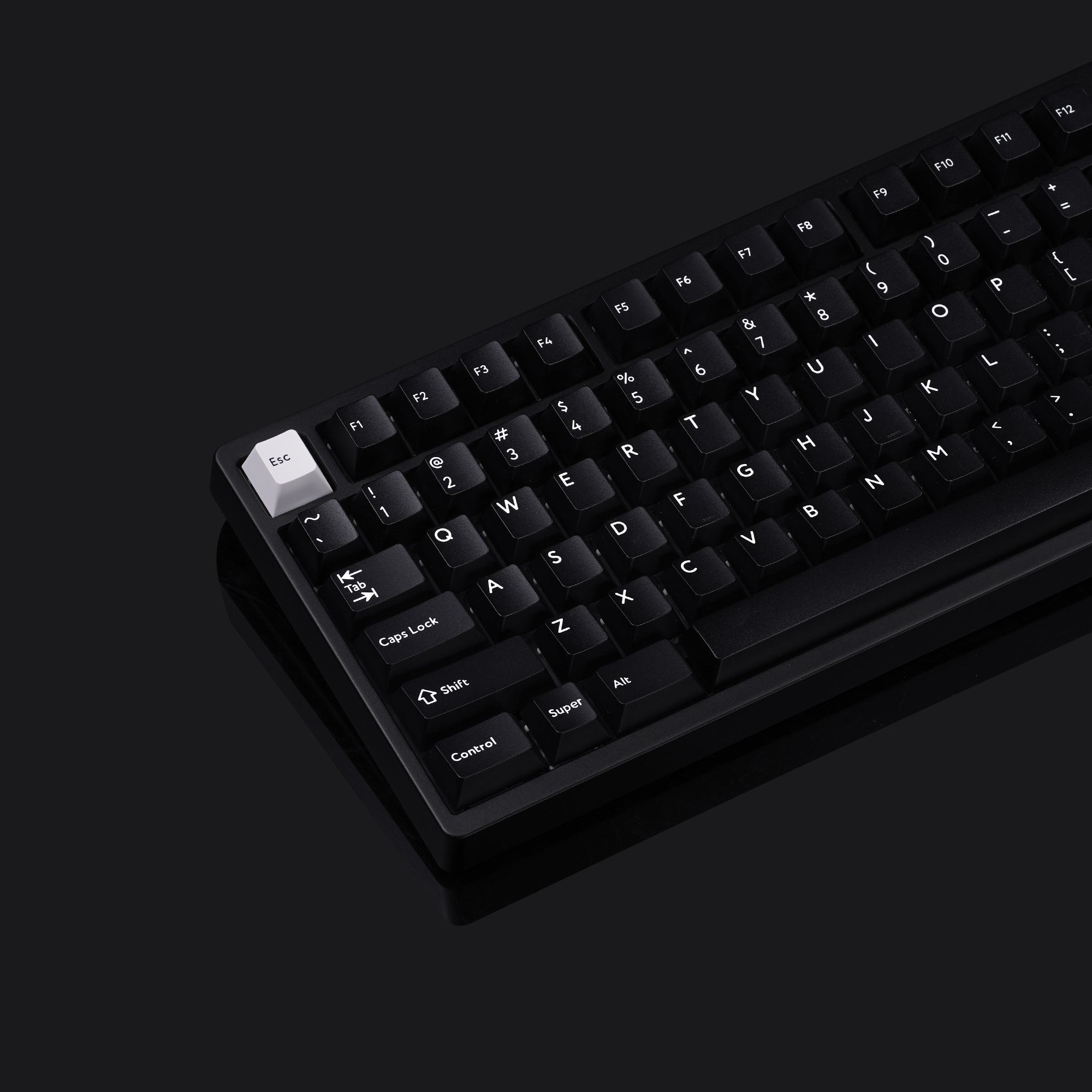 PBTFans White on Black Keycap Set - InputGear DE