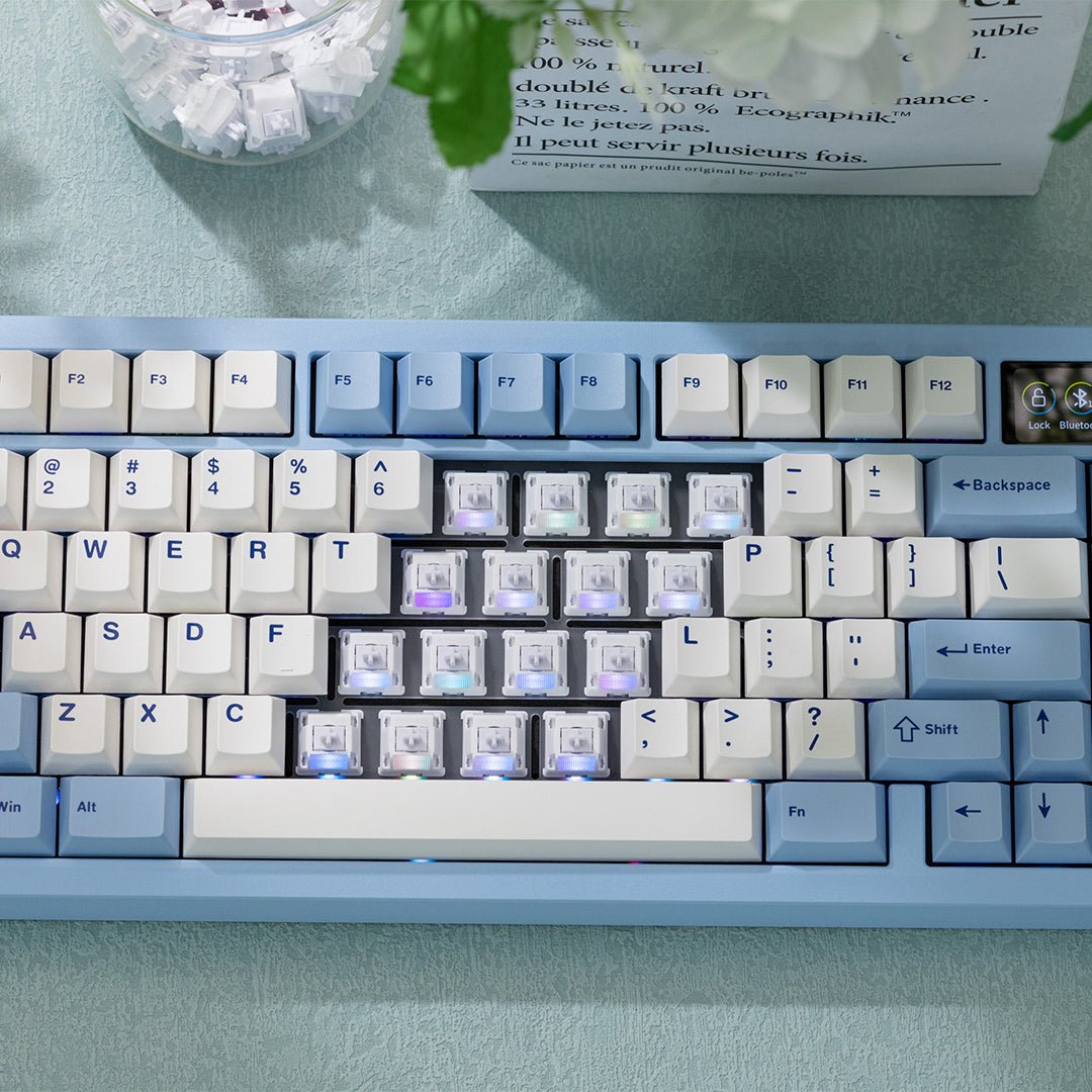 WS Morandi Switch - InputGear DE