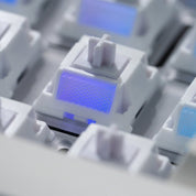 WS Morandi Switch - InputGear DE