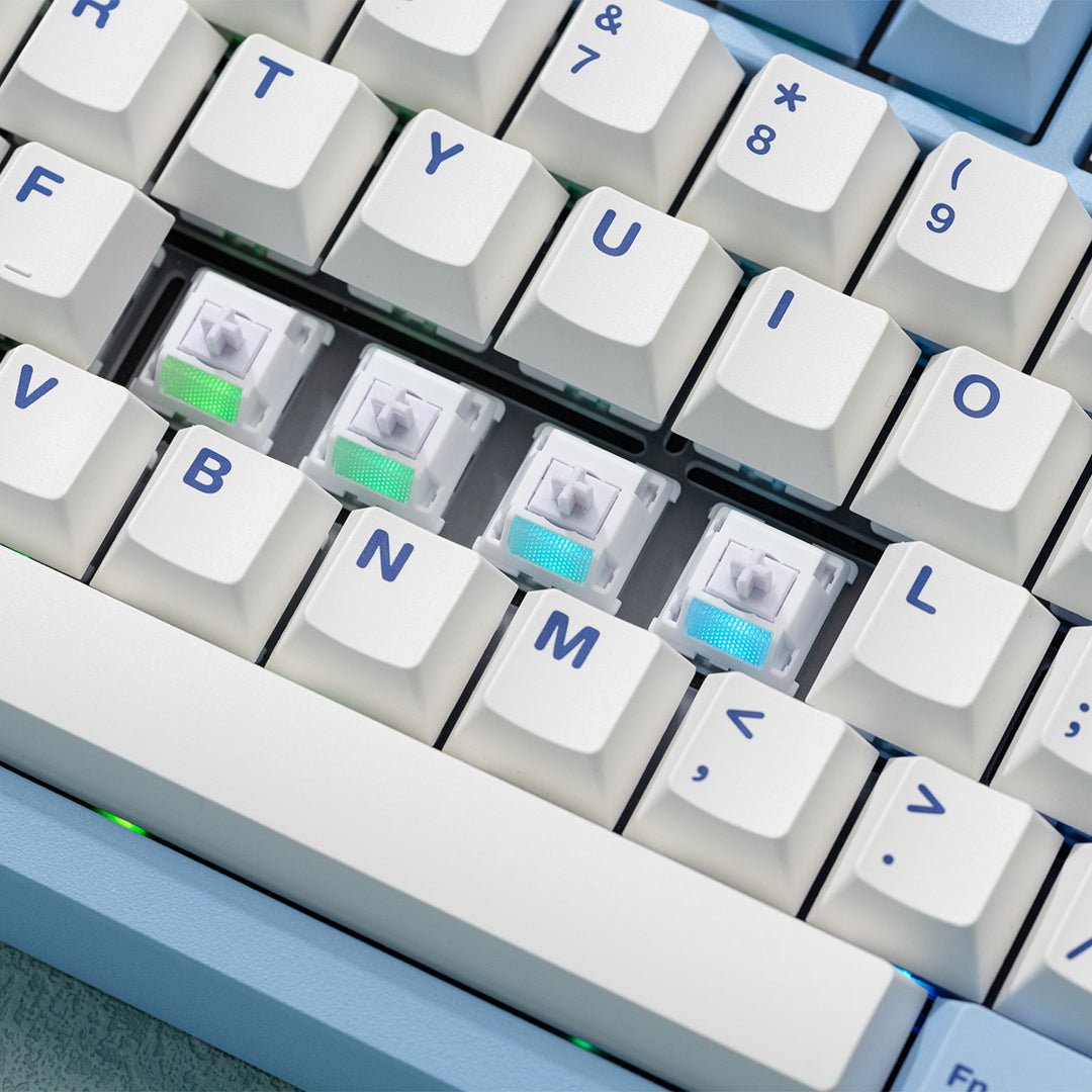 WS Morandi Switch - InputGear DE