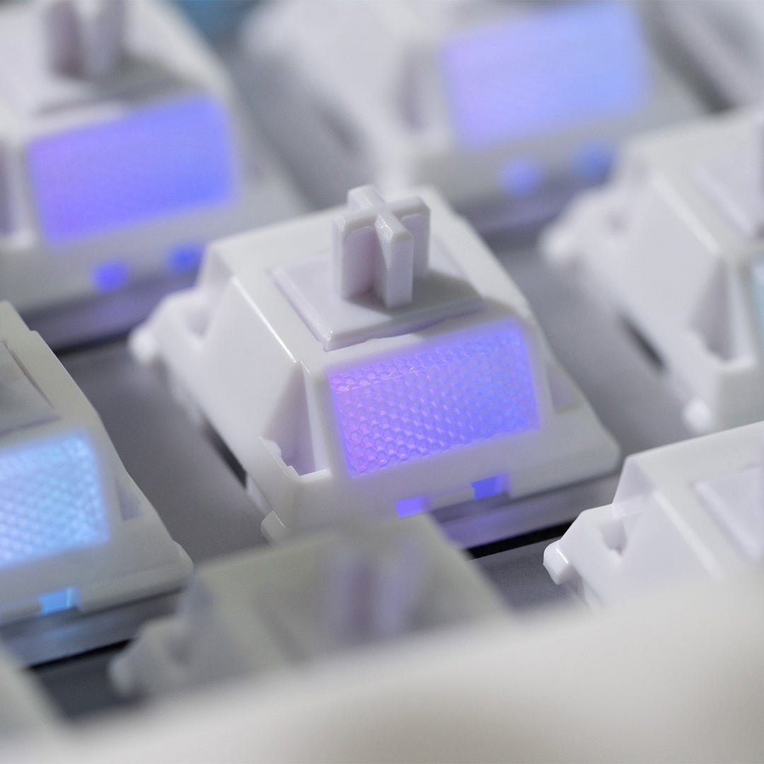 WS Morandi Switch - InputGear DE