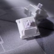 WS Morandi Switch - InputGear DE